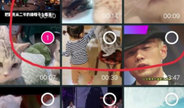 小视频大全,趣味瞬间，欢乐集结