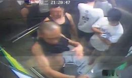 被干视频,短视频背后的秘密与启示